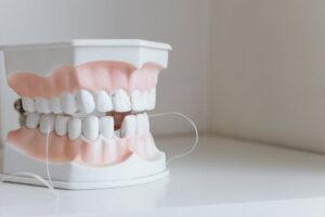 Dentist model with dental floss displayed